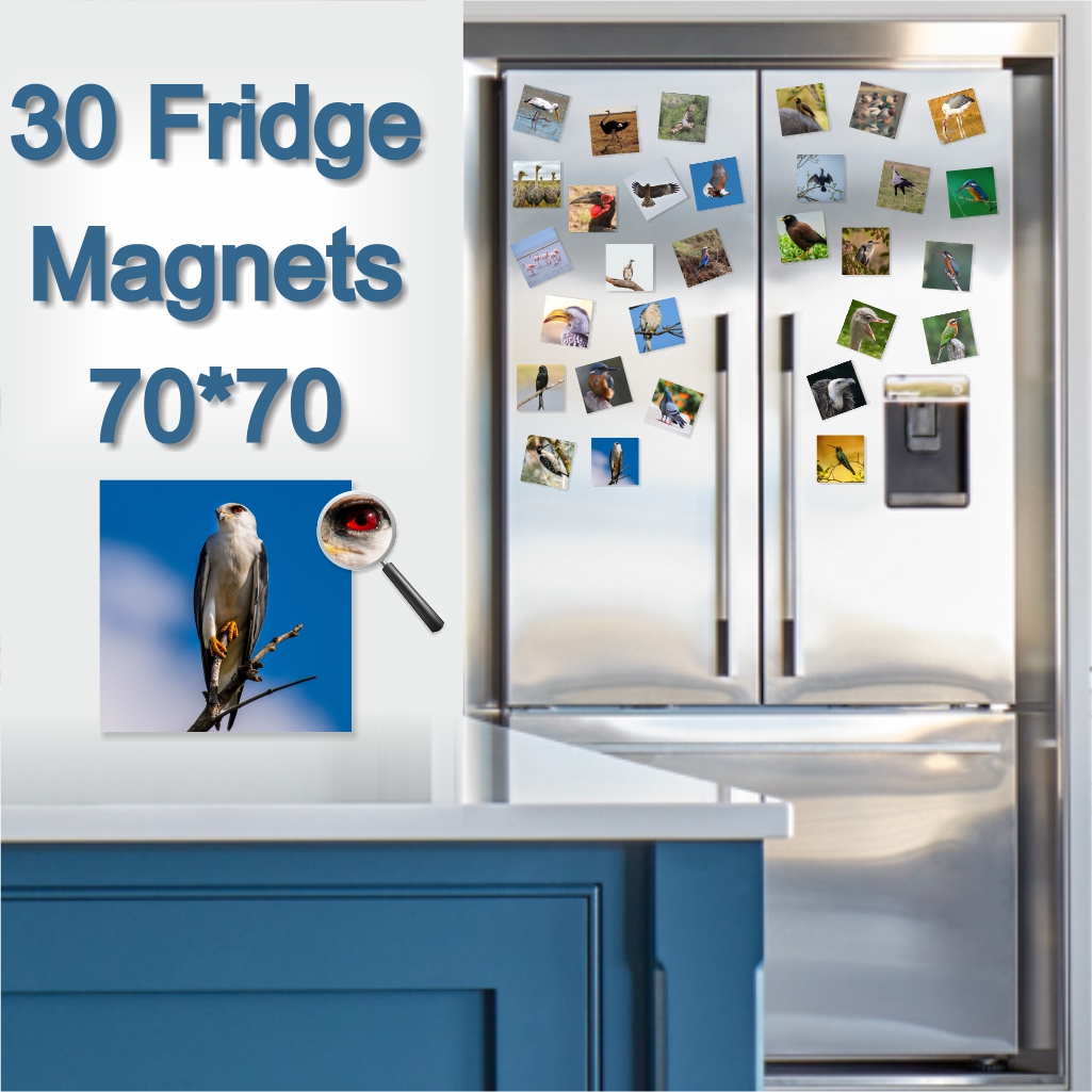  - Fridge Magnets 70 x 70 x 30
