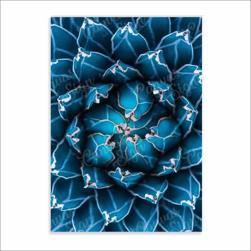  - Agave 1