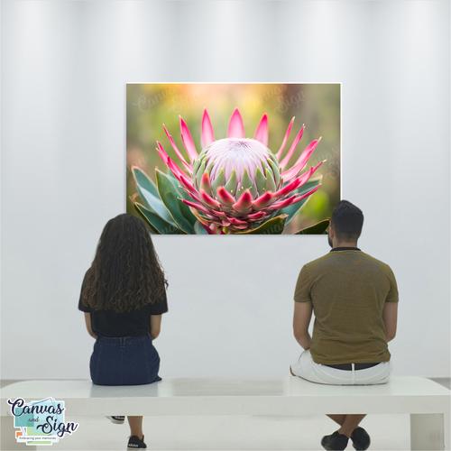  - Protea 04