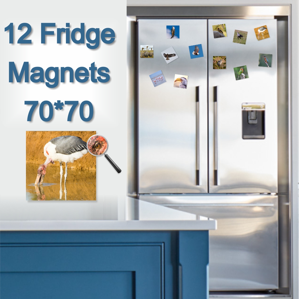  - Fridge Magnets 70 x 70 x 12